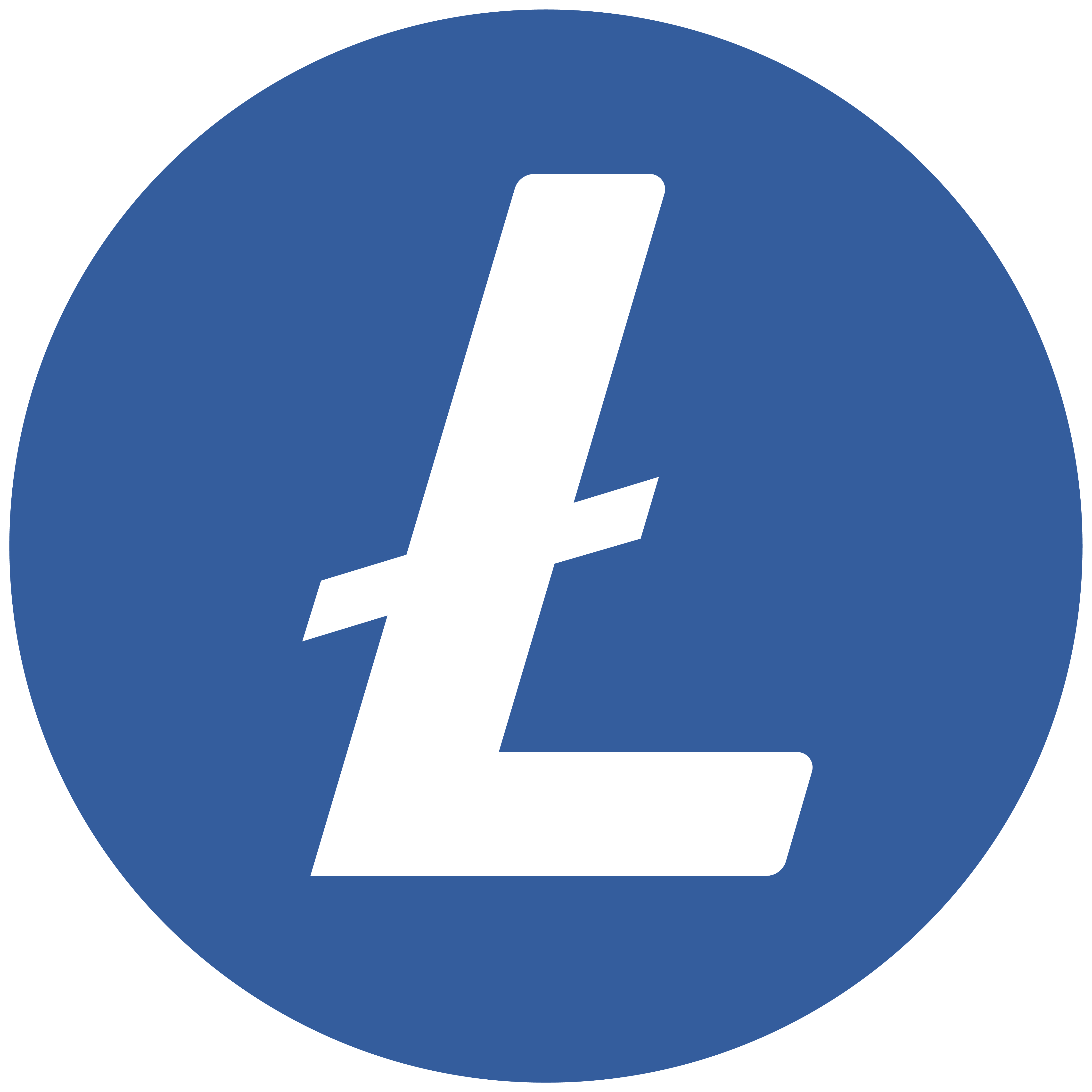 Litecoin Coin